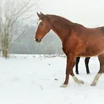 Penzion Eqilon Vendégház *
