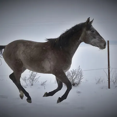 Penzion Eqilon Mělník