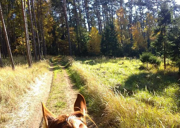 בית הארחה Penzion Eqilon Mělník