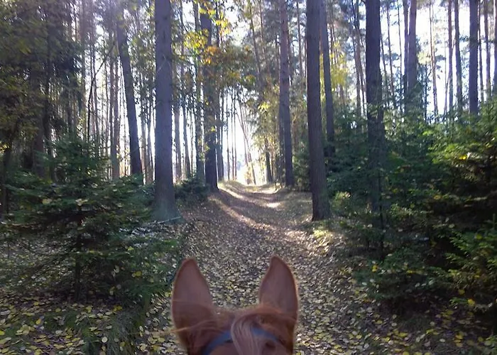 Penzion Eqilon בית הארחה Mělník