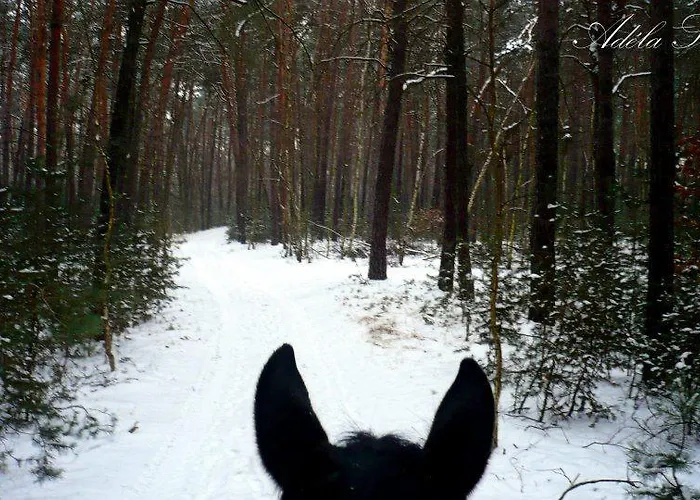 בית הארחה Penzion Eqilon Mělník