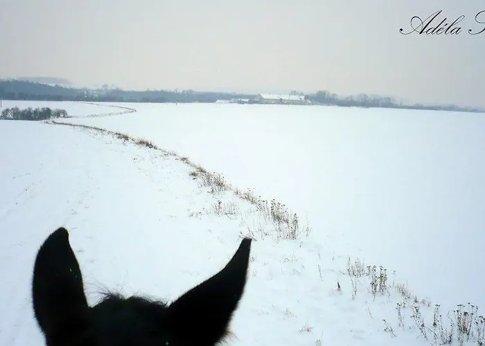 Penzion Eqilon בית הארחה