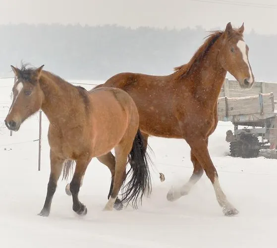 Penzion Eqilon Mělník