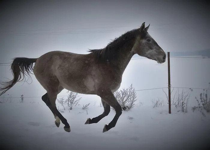 Penzion Eqilon Mělník