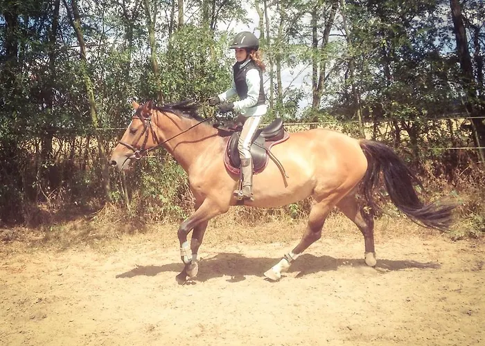 Penzion Eqilon * Mělník