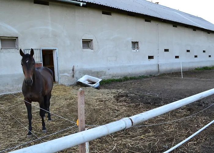 בית הארחה Penzion Eqilon Mělník